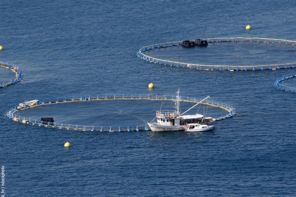 Cages for tuna farming in Adriatic sea in Croatia © mrak_hr / istockphoto